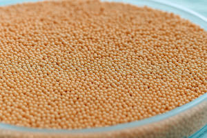 Multi-Unit Particulate System (MUPS)