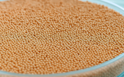 Multi-Unit Particulate System (MUPS)